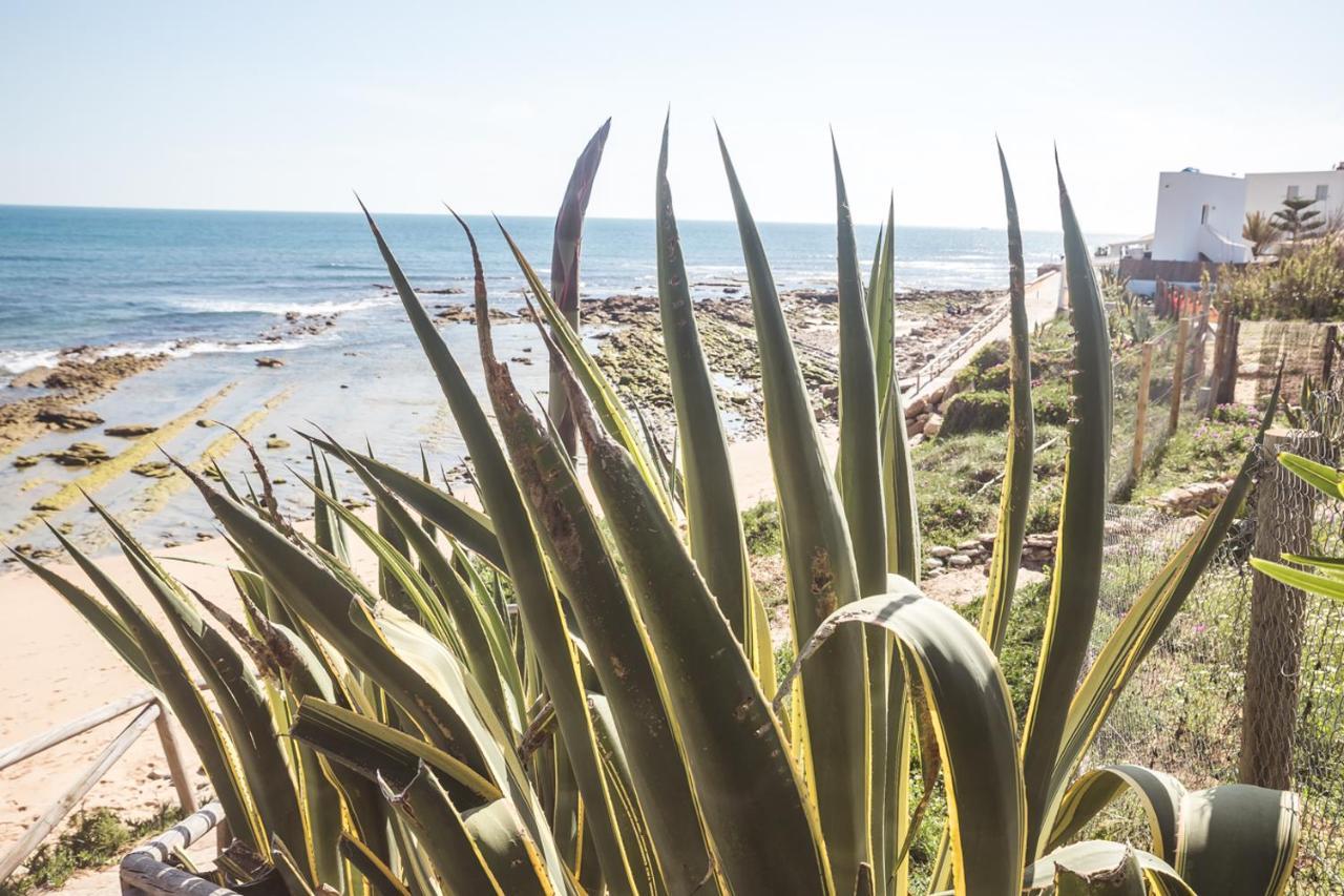 Adosado Nuevo Con Piscina, Playa, Garaje Y Jardin Los Canos De Meca Buitenkant foto
