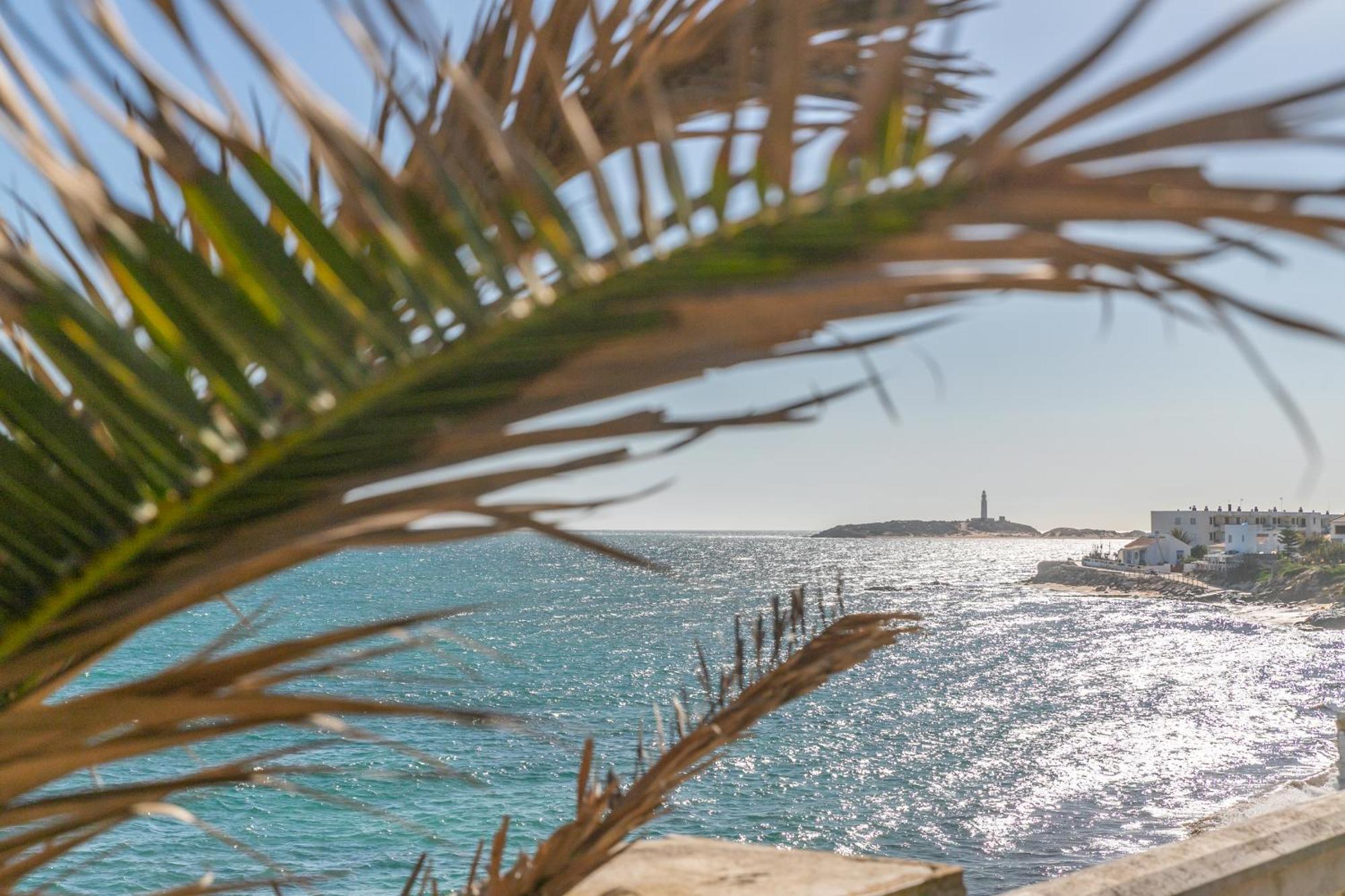 Adosado Nuevo Con Piscina, Playa, Garaje Y Jardin Los Canos De Meca Buitenkant foto